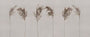 TAPETA ANTICCI OD WALL ART