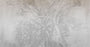 TAPETA GREY OMBRE FLOWER OD WALL ART
