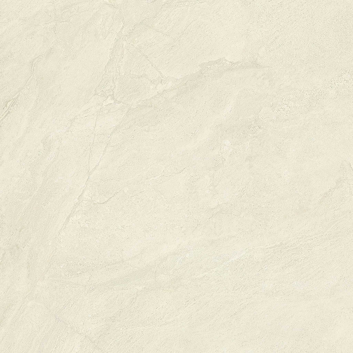 PŁYTKA CERAMICZNA PR/PO1010PN 100 X 100 CM OD EMIL CERAMICA