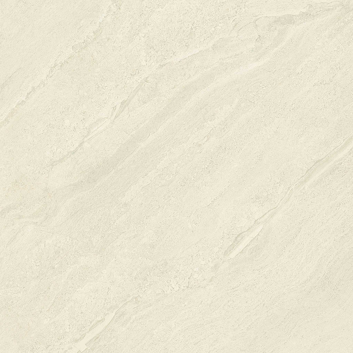 PŁYTKA CERAMICZNA PR/PO1010PN 100 X 100 CM OD EMIL CERAMICA