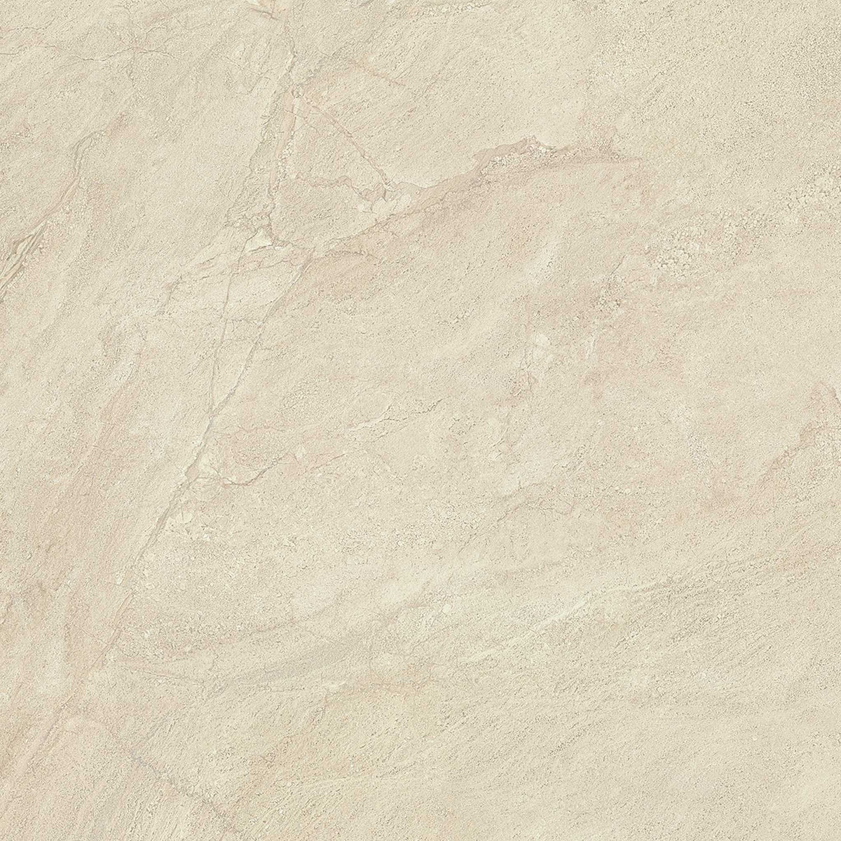 PŁYTKA CERAMICZNA PR/PO1010C 100 X 100 CM OD EMIL CERAMICA