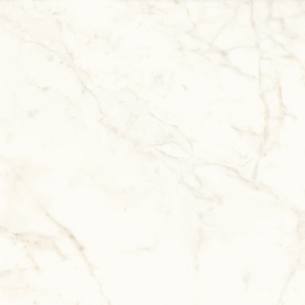 PŁYTKA CERAMICZNA AT/MVS1212CDL 120 X 120 CM OD ATLAS CONCORDE