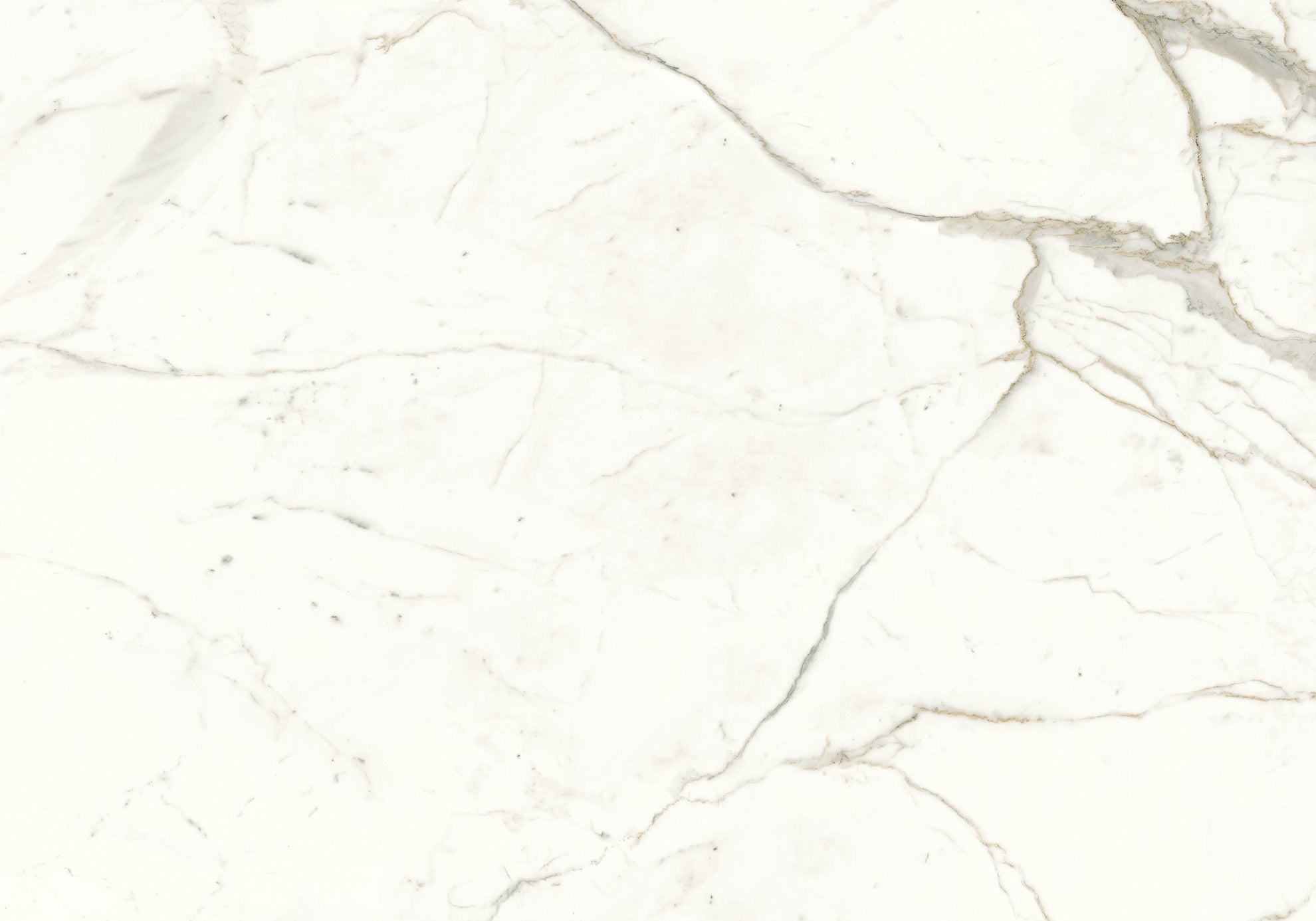 PŁYTKA CERAMICZNA AT/MVS1212CPM 120 x 120 CM OD ATLAS CONCORDE