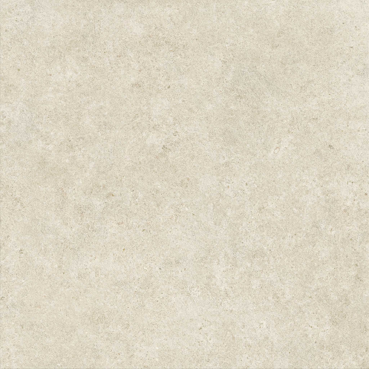 PŁYTKA CERAMICZNA IVORY 120 x 120 CM OD ATLAS CONCORDE