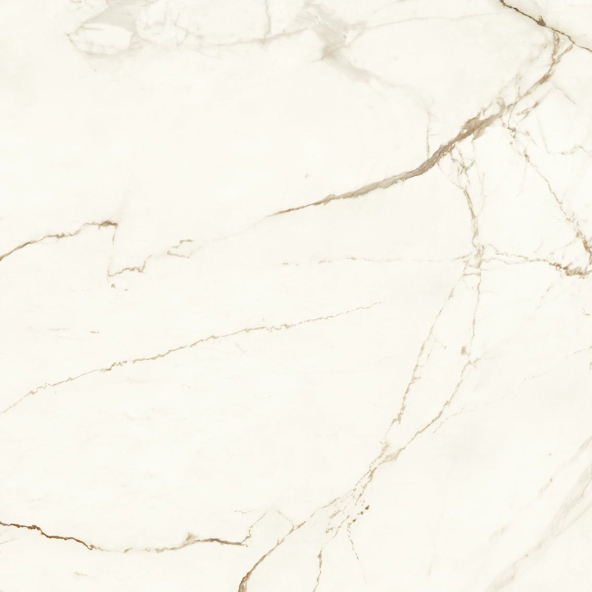 PŁYTKA CERAMICZNA  120 X 120 CM OD ATLAS CONCORDE