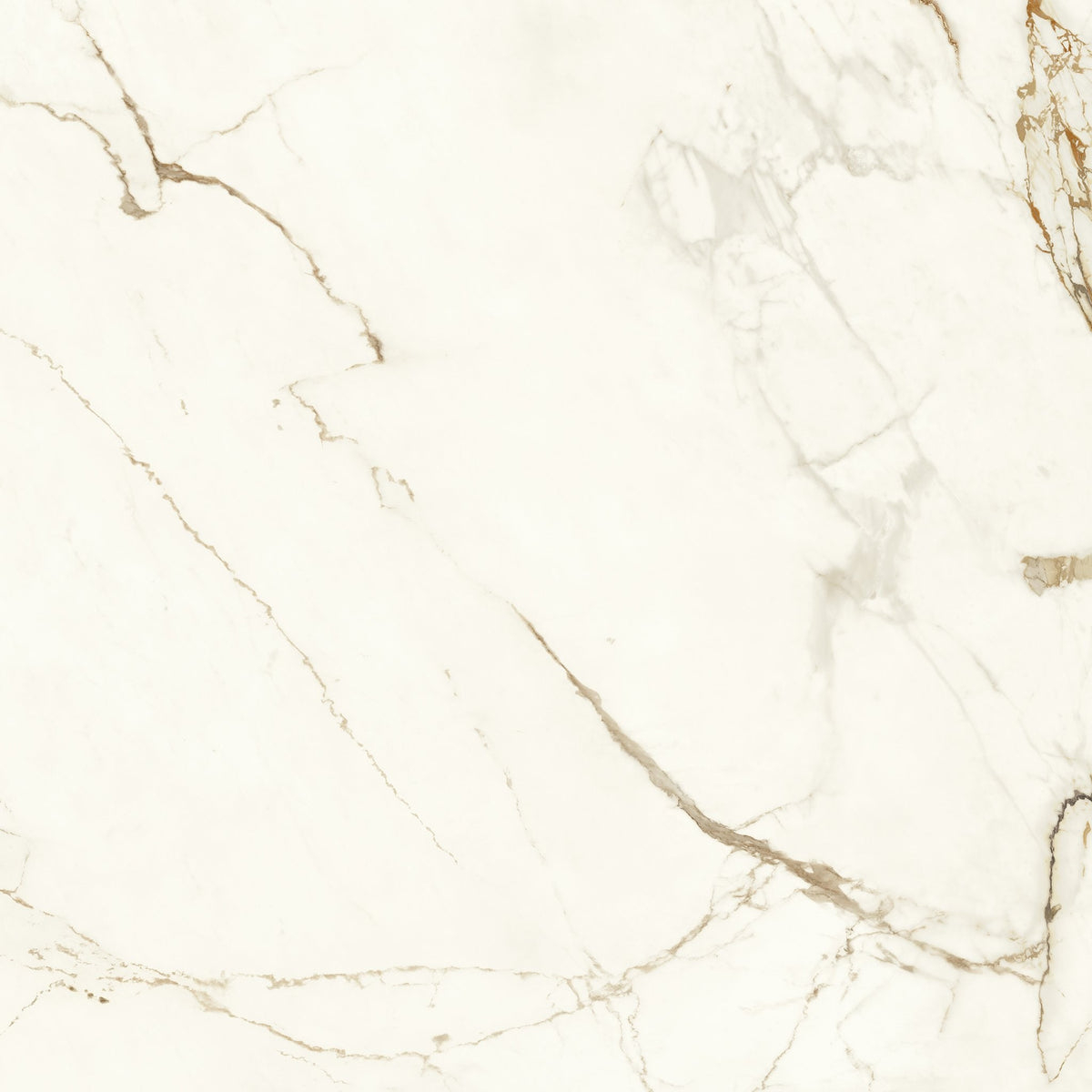 PŁYTKA CERAMICZNA  120 X 120 CM OD ATLAS CONCORDE