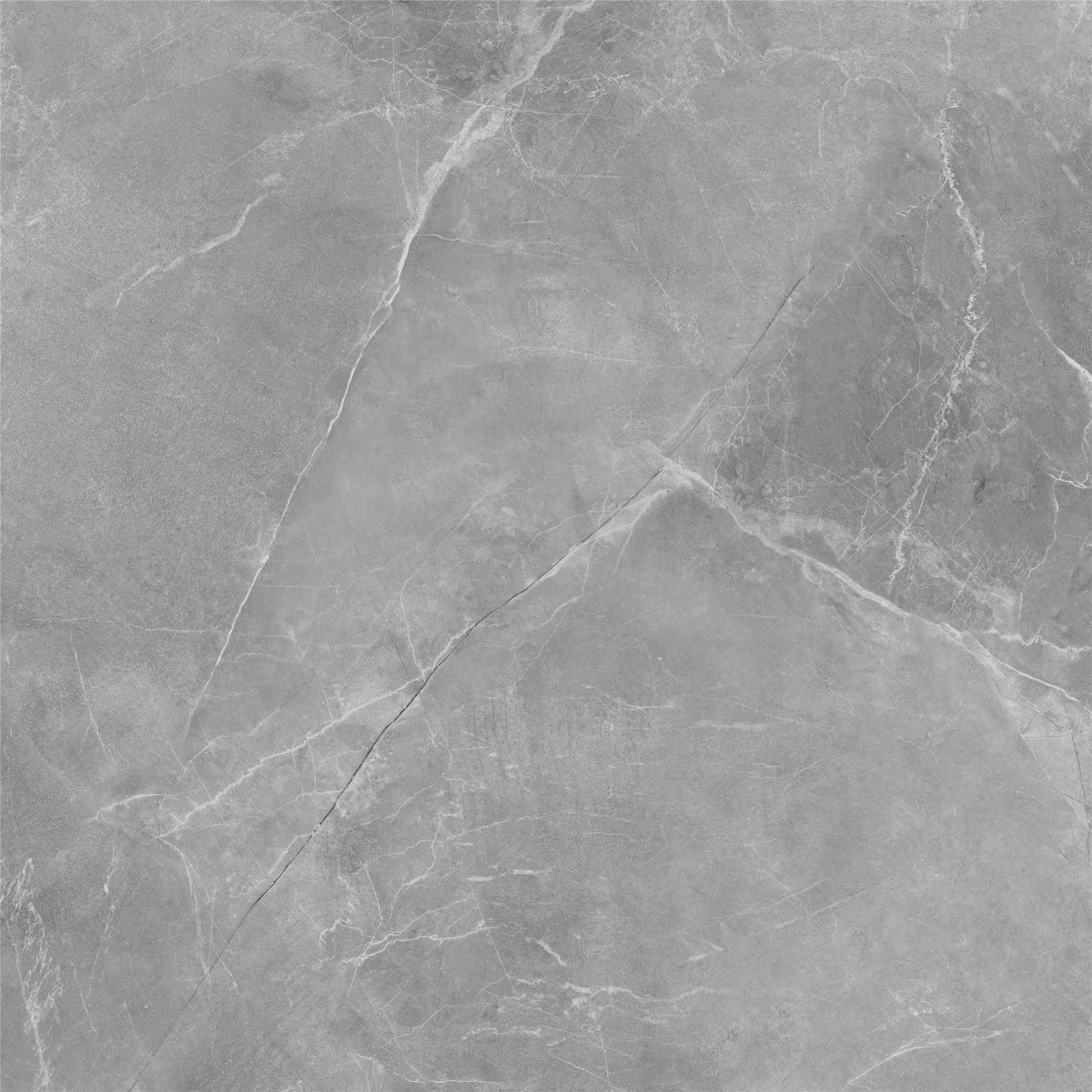 PŁYTKA CERAMICZNA SILVER 119.7 X 119.7 CM OD MAXHOME