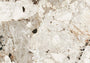 PŁYTKA CERAMICZNA NATURE MOOD TUNDRA 120 X 120 CM OD FLORIM