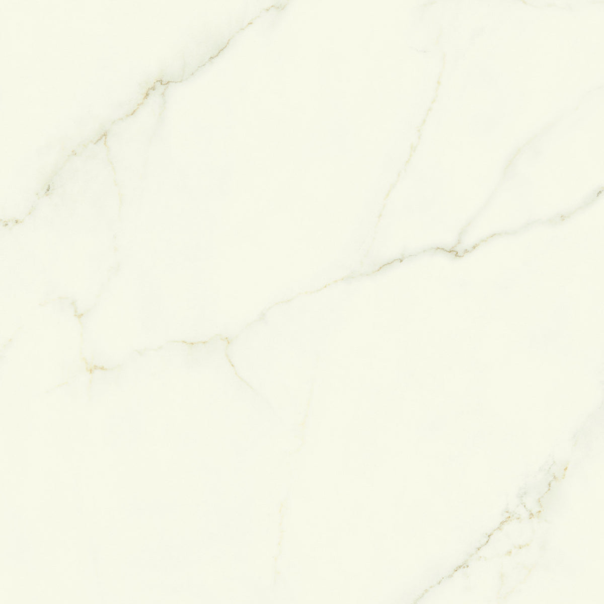 PŁYTKA CERAMICZNA CALACATTA APUANO LAP. 120 x 120 CM OD ATLAS CONCORDE