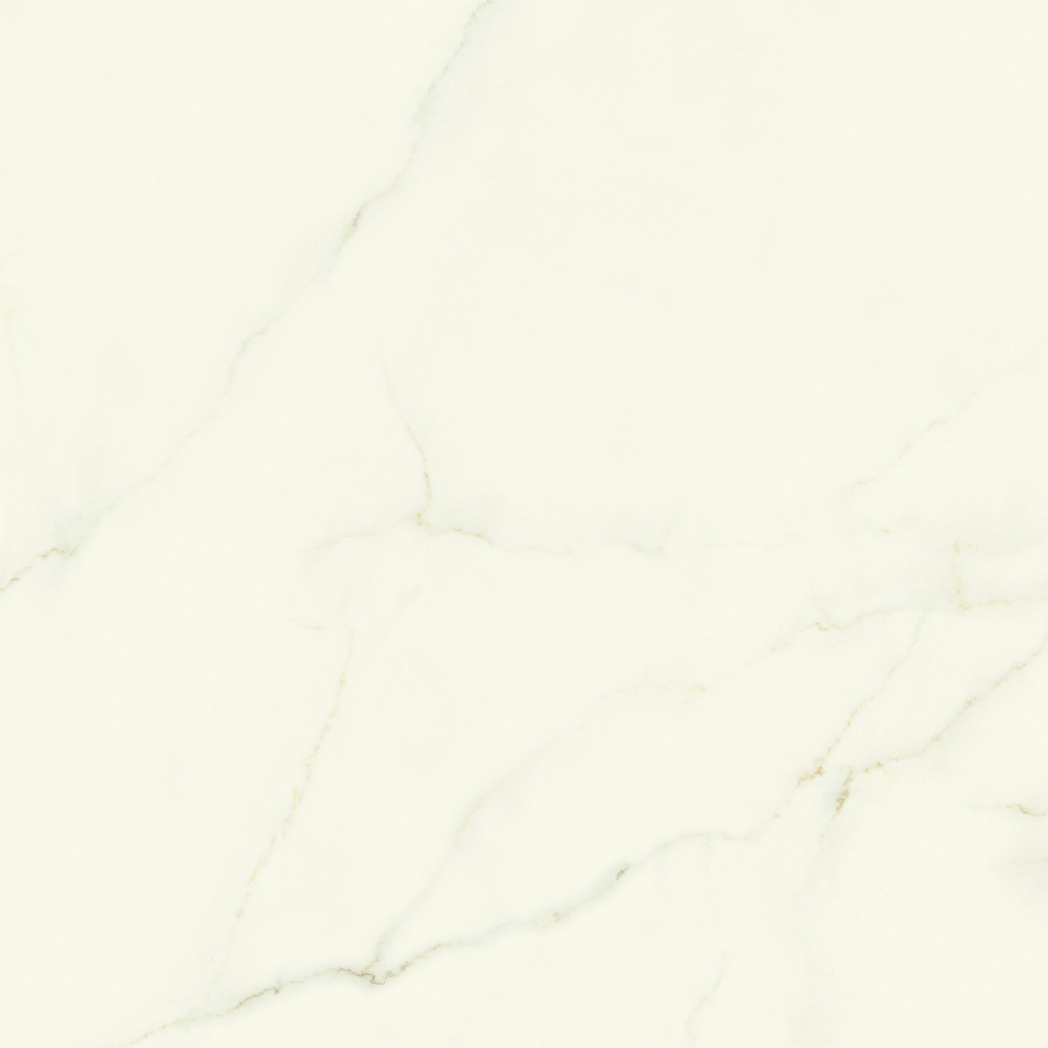 PŁYTKA CERAMICZNA CALACATTA APUANO LAP. 120 x 120 CM OD ATLAS CONCORDE