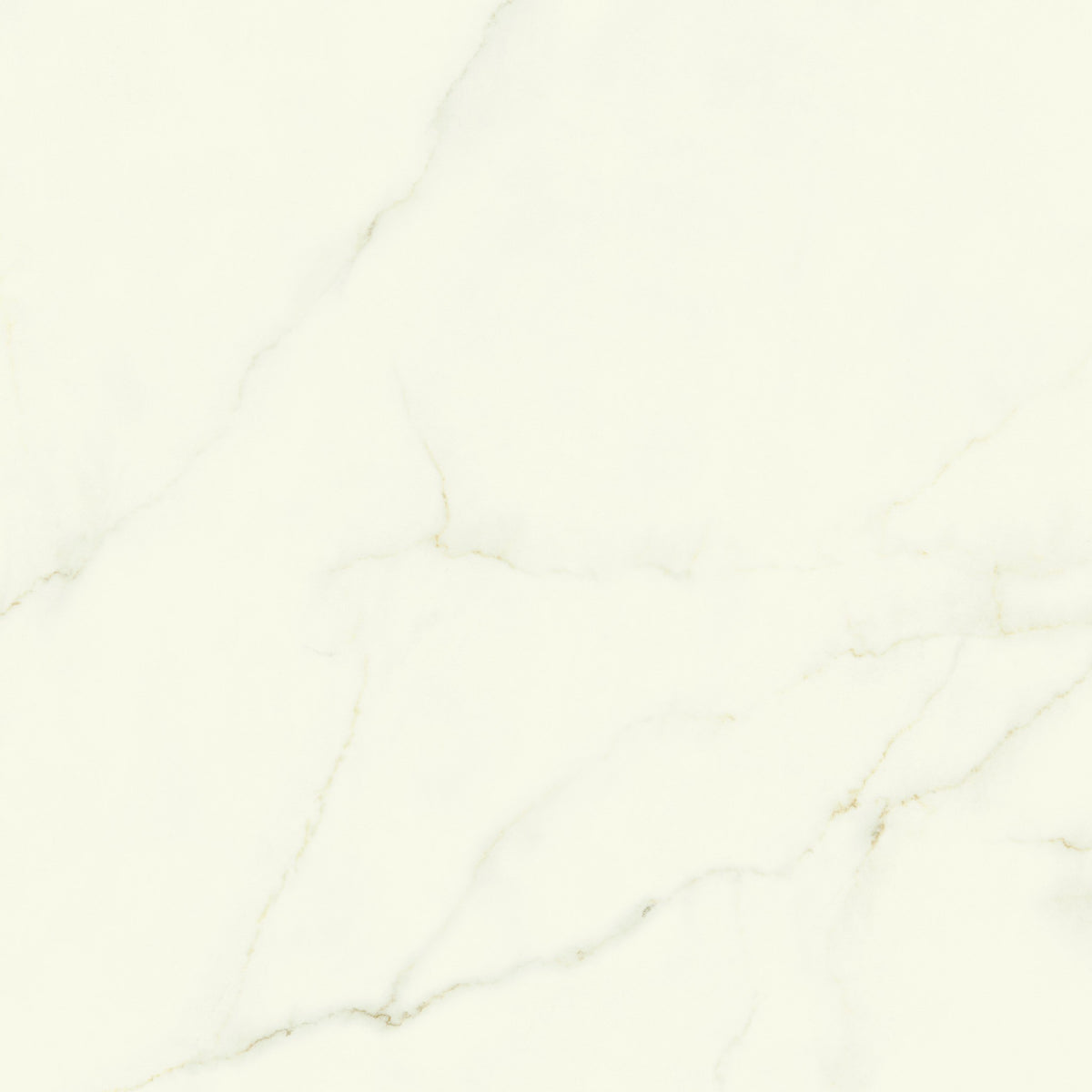PŁYTKA CERAMICZNA CALACATTA APUANO LAP. 120 x 120 CM OD ATLAS CONCORDE