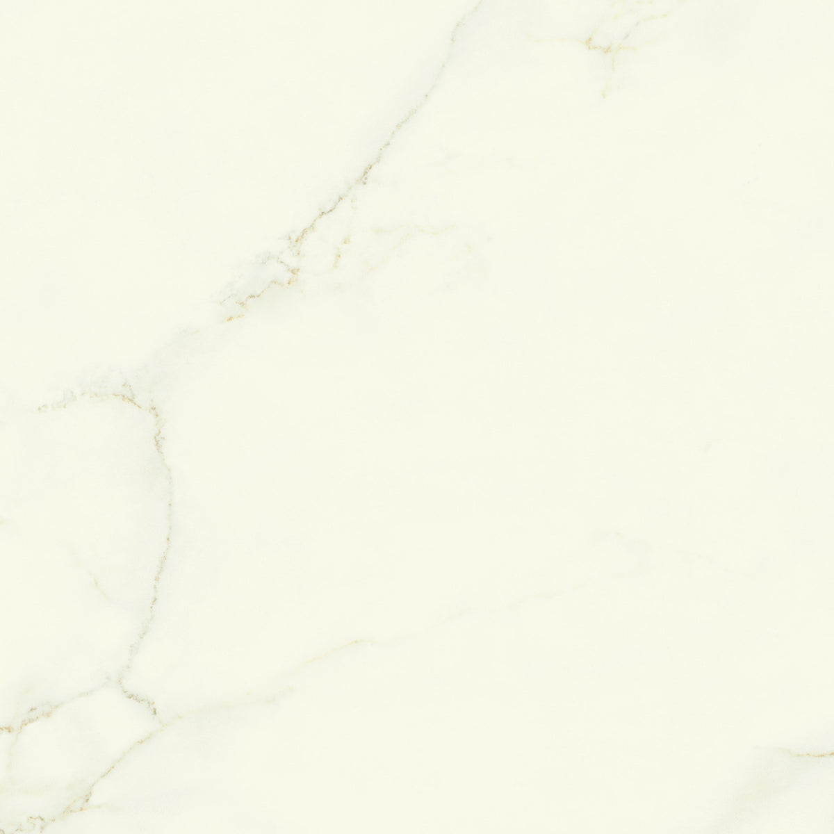 PŁYTKA CERAMICZNA CALACATTA APUANO SILK 120 x 120 CM OD ATLAS CONCORDE
