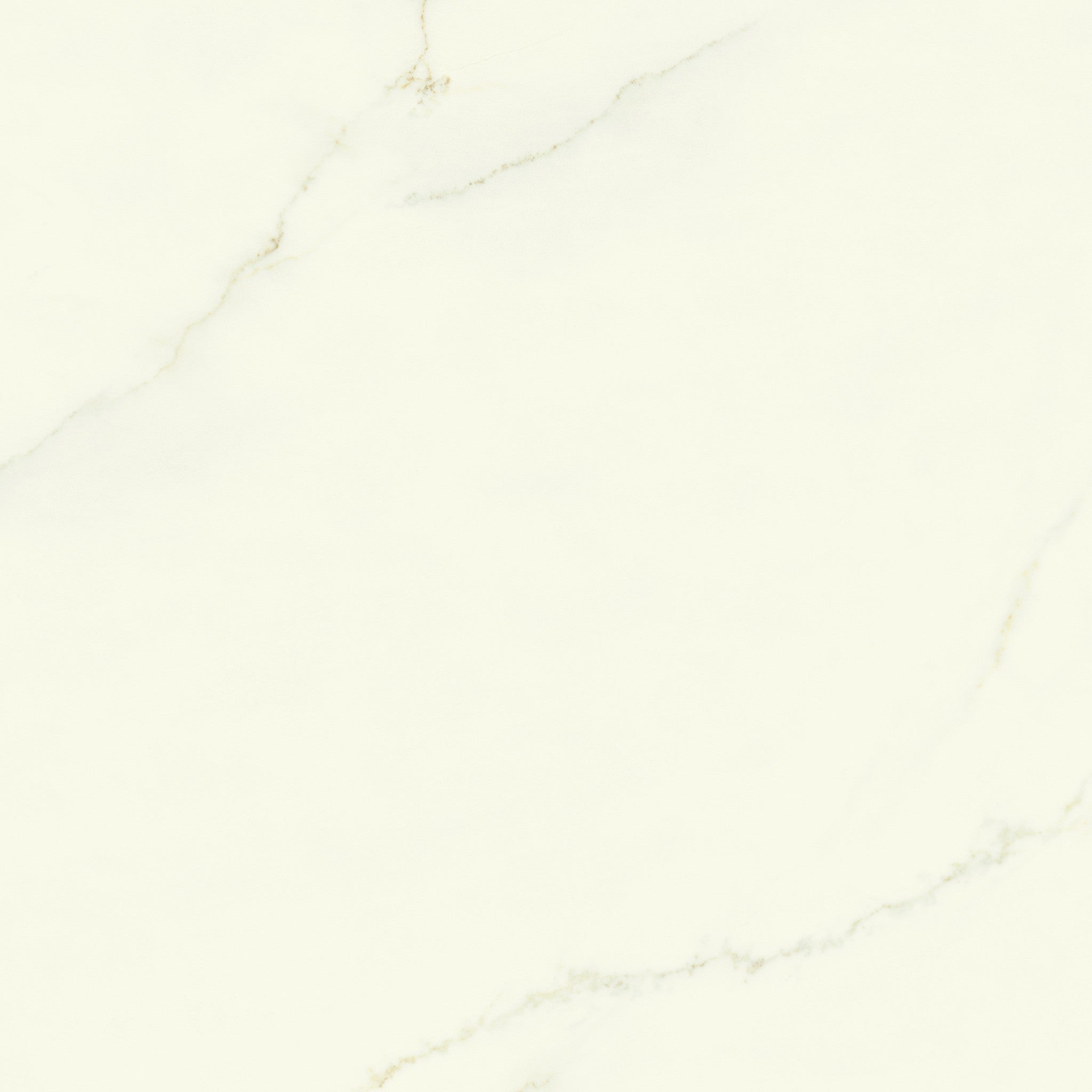 PŁYTKA CERAMICZNA CALACATTA APUANO SILK 120 x 120 CM OD ATLAS CONCORDE