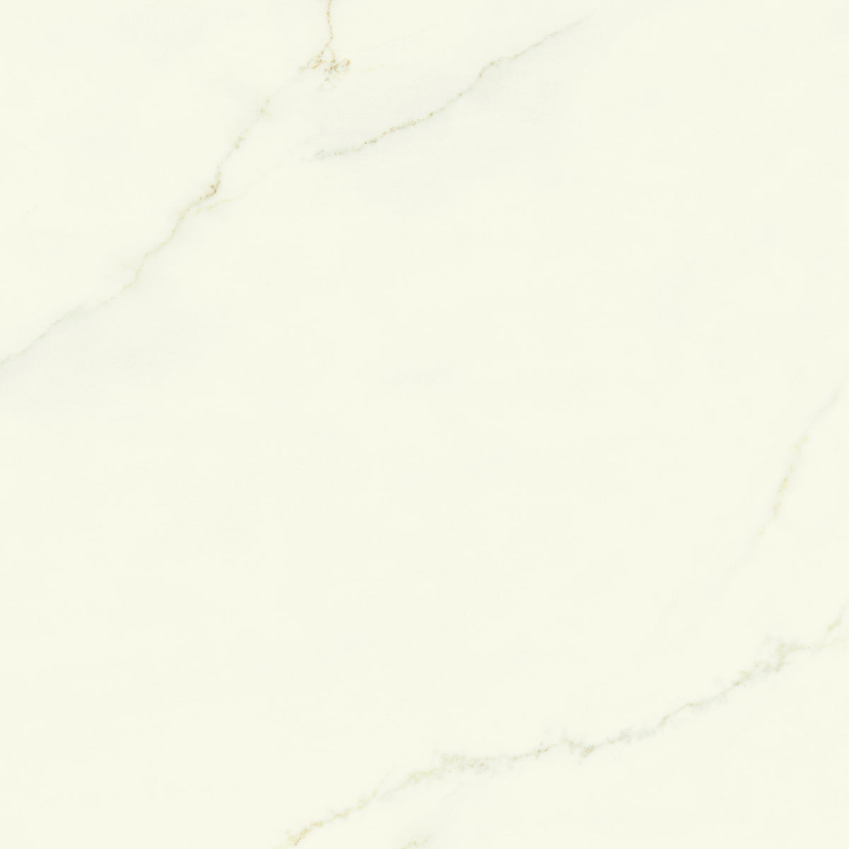 PŁYTKA CERAMICZNA CALACATTA APUANO SILK 120 x 120 CM OD ATLAS CONCORDE
