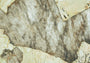 PŁYTKA CERAMICZNA AT/MG1212DESOL  120 x 120 CM OD ATLAS CONCORDE
