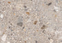PŁYTKA CERAMICZNA MI/FA1212NO05N6 120 X 120 CM OD MIRAGE