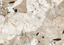 PŁYTKA CERAMICZNA NATURE MOOD TUNDRA 120 X 120 CM OD FLORIM