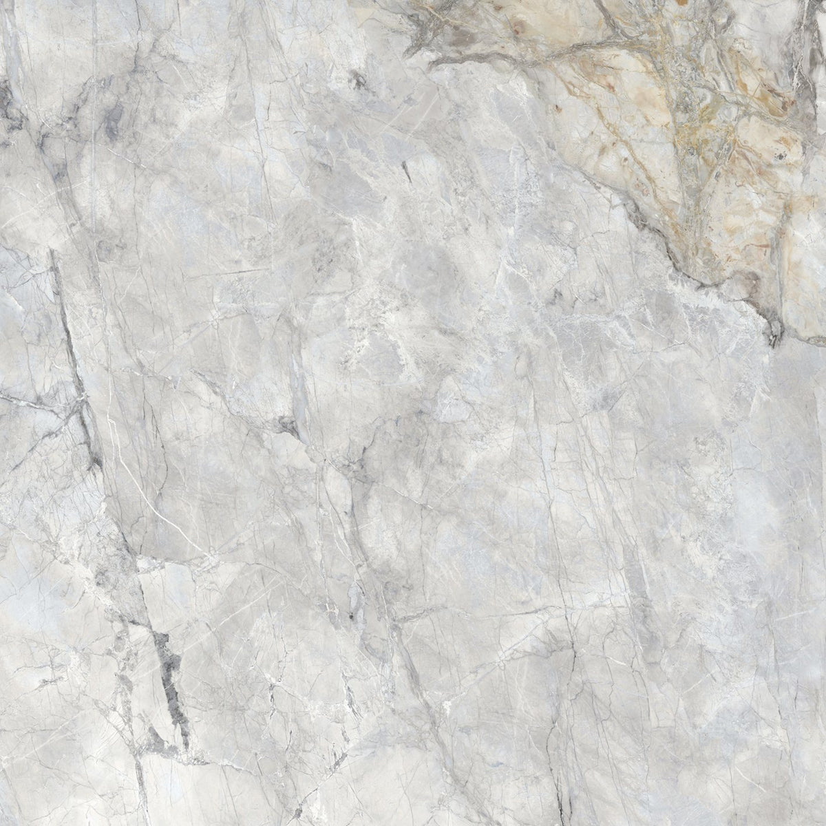 PŁYTKA CERAMICZNA PO/VE1212N6 120 X 120 CM OD PORCELANOSA