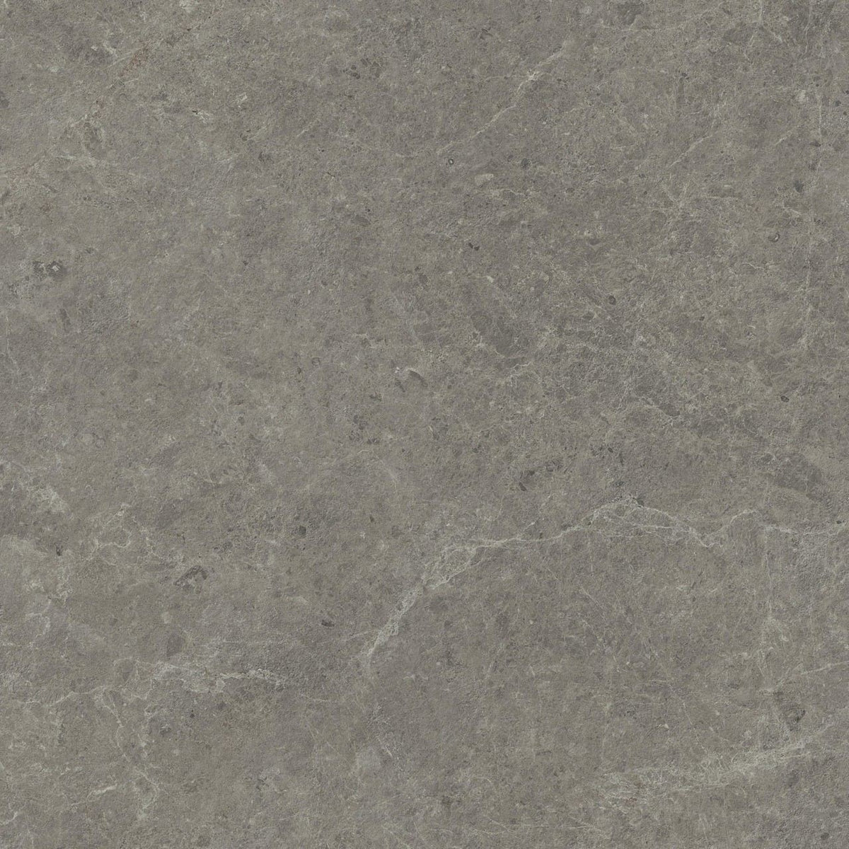 PŁYTKA CERAMICZNA AT/NY1212MEMS 120 X 120 CM OD ATLAS CONCORDE