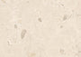 PŁYTKA CERAMICZNA GEMMASTONE GEMMA GIANT 120 X 120 CM OD EMIL CERAMICA