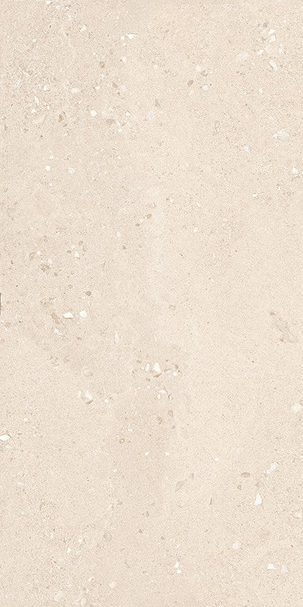 PŁYTKA CERAMICZNA GEMMASTONE GEMMA FINE SALE SILKTECH PLUS 120 X 60 CM OD EMIL CERAMICA