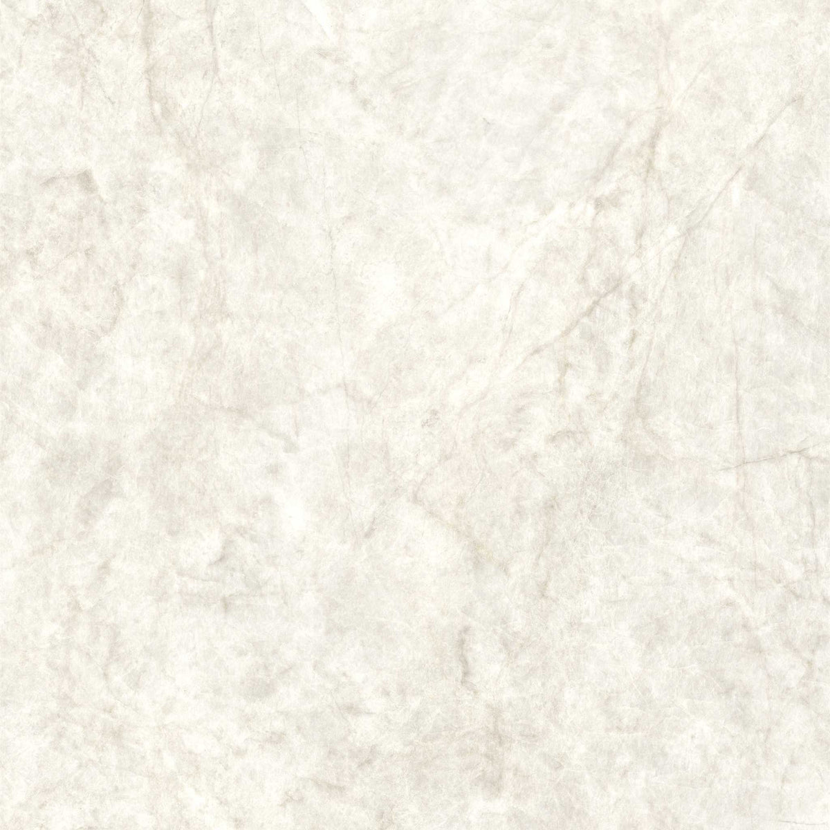 PŁYTKA CERAMICZNA MH/SW1111TM 119.7 X 119.7 CM OD MAXHOME