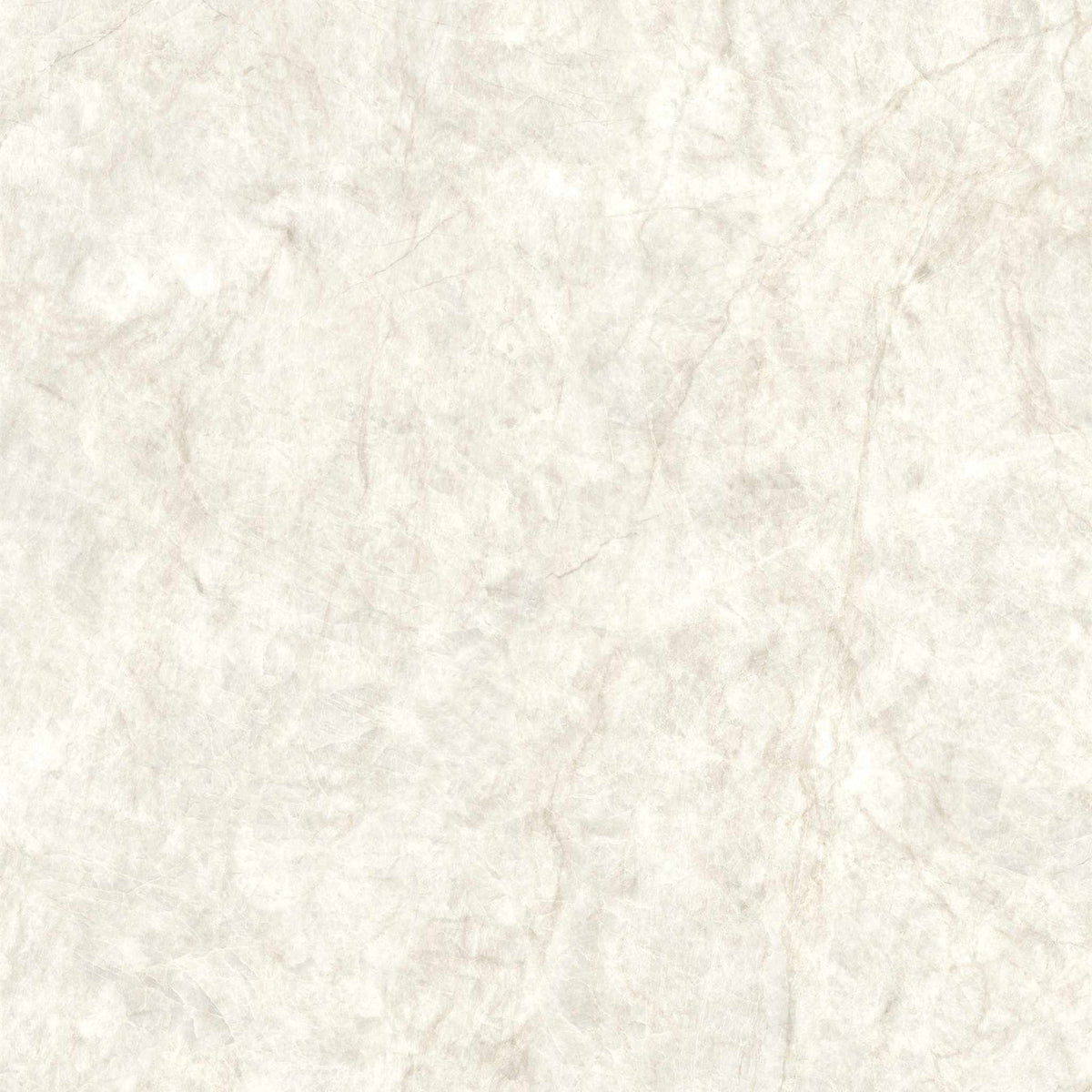 PŁYTKA CERAMICZNA MH/SW1111TM 119.7 X 119.7 CM OD MAXHOME