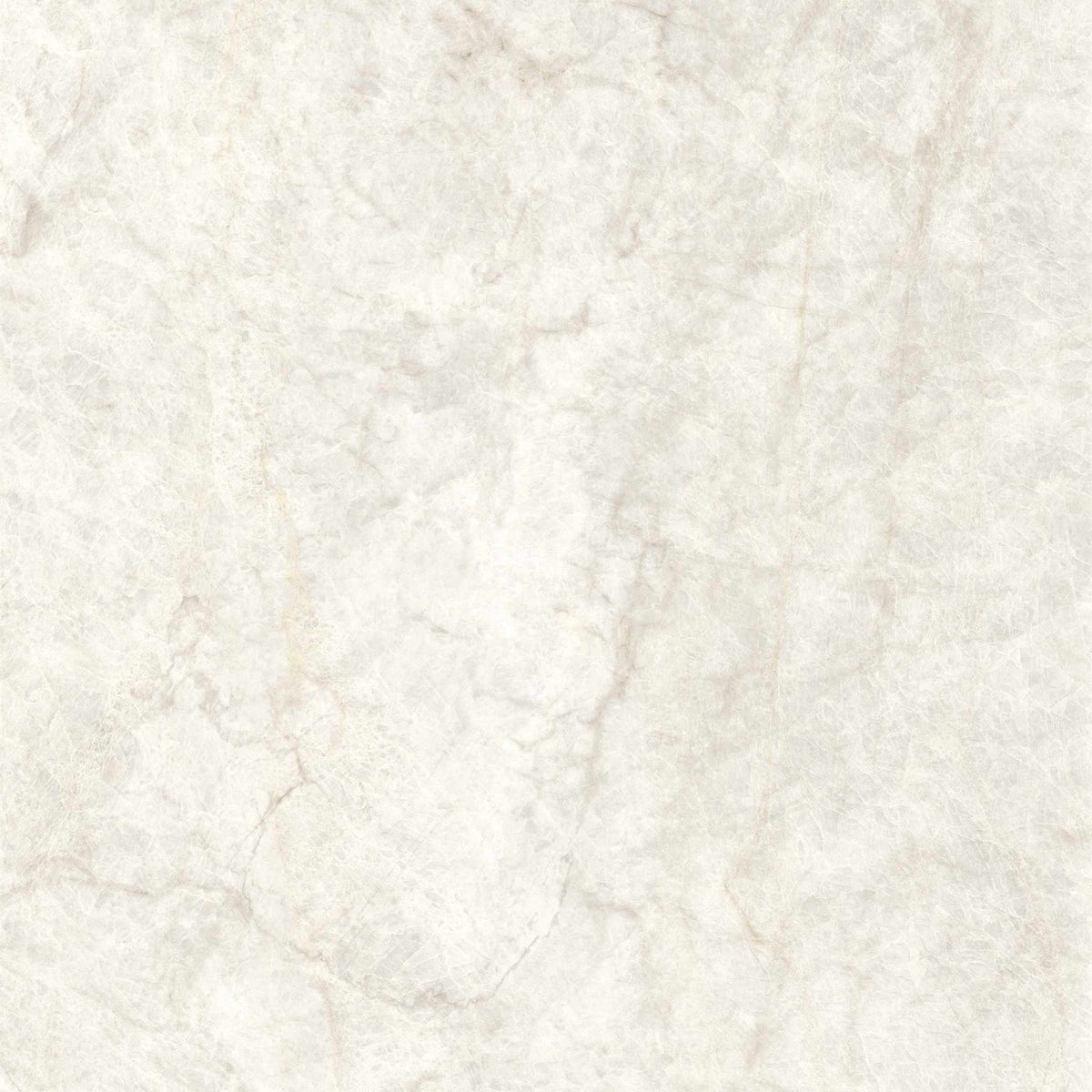 PŁYTKA CERAMICZNA MH/SW1111TM 119.7 X 119.7 CM OD MAXHOME