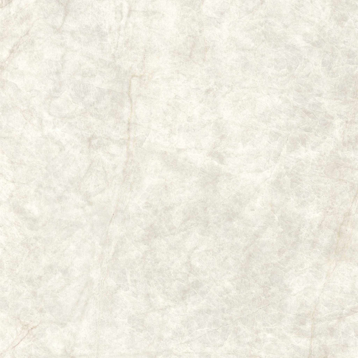 PŁYTKA CERAMICZNA MH/SW1111TM 119.7 X 119.7 CM OD MAXHOME