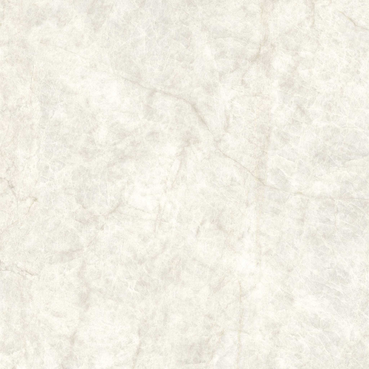 PŁYTKA CERAMICZNA MH/SW1111TM 119.7 X 119.7 CM OD MAXHOME