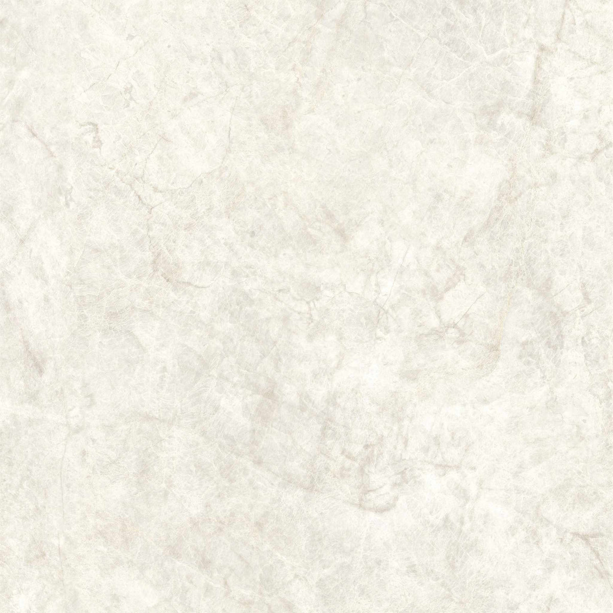 PŁYTKA CERAMICZNA MH/SW1111TM 119.7 X 119.7 CM OD MAXHOME