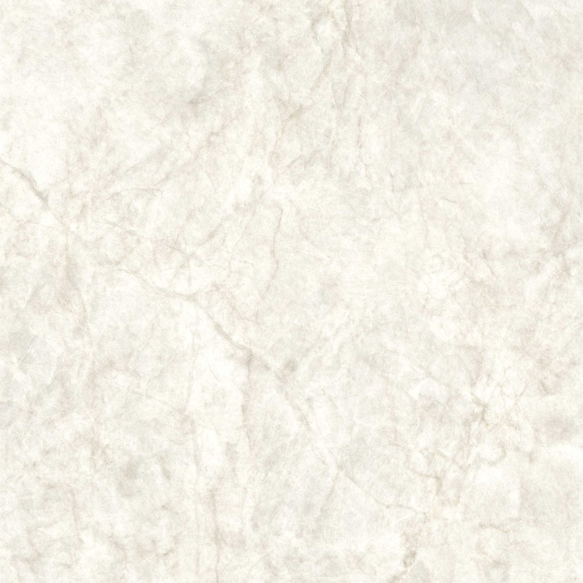 PŁYTKA CERAMICZNA MH/SW1111TM 119.7 X 119.7 CM OD MAXHOME