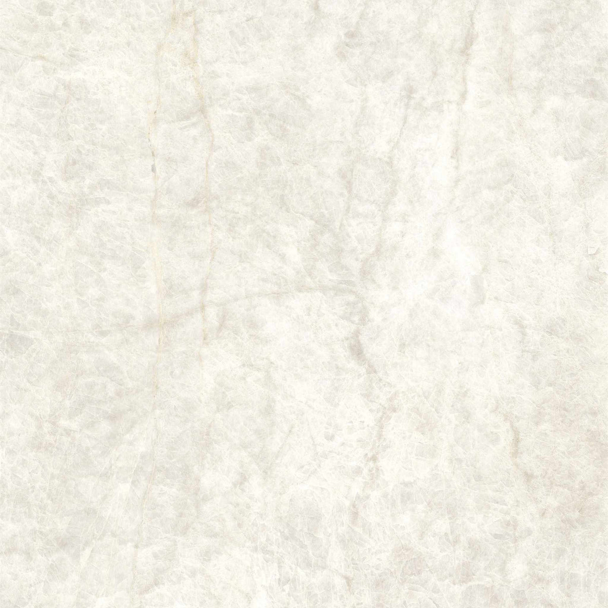 PŁYTKA CERAMICZNA MH/SW1111TM 119.7 X 119.7 CM OD MAXHOME