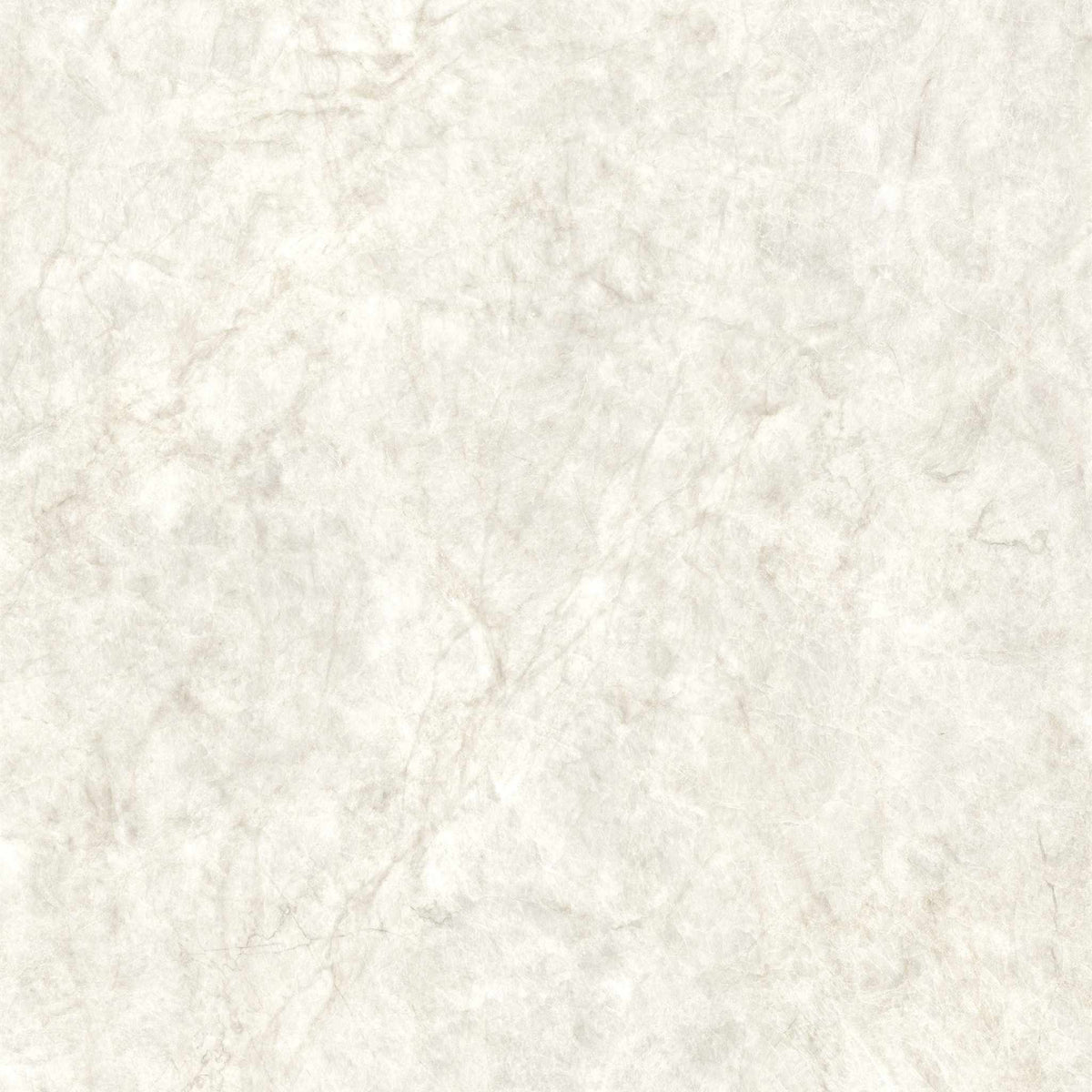 PŁYTKA CERAMICZNA MH/SW1111TM 119.7 X 119.7 CM OD MAXHOME