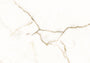 PŁYTKA CERAMICZNA MH/SW1111CA 119.7 X 119.7 CM OD MAXHOME