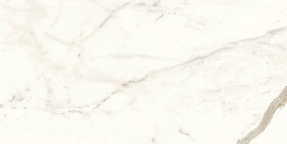 PŁYTKA CERAMICZNA  60 X 30 CM OD ATLAS CONCORDE