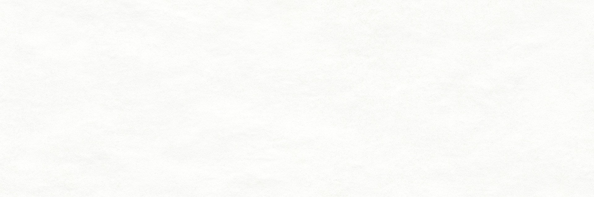 PŁYTKA CERAMICZNA  33 X 100 CM OD RAGNO