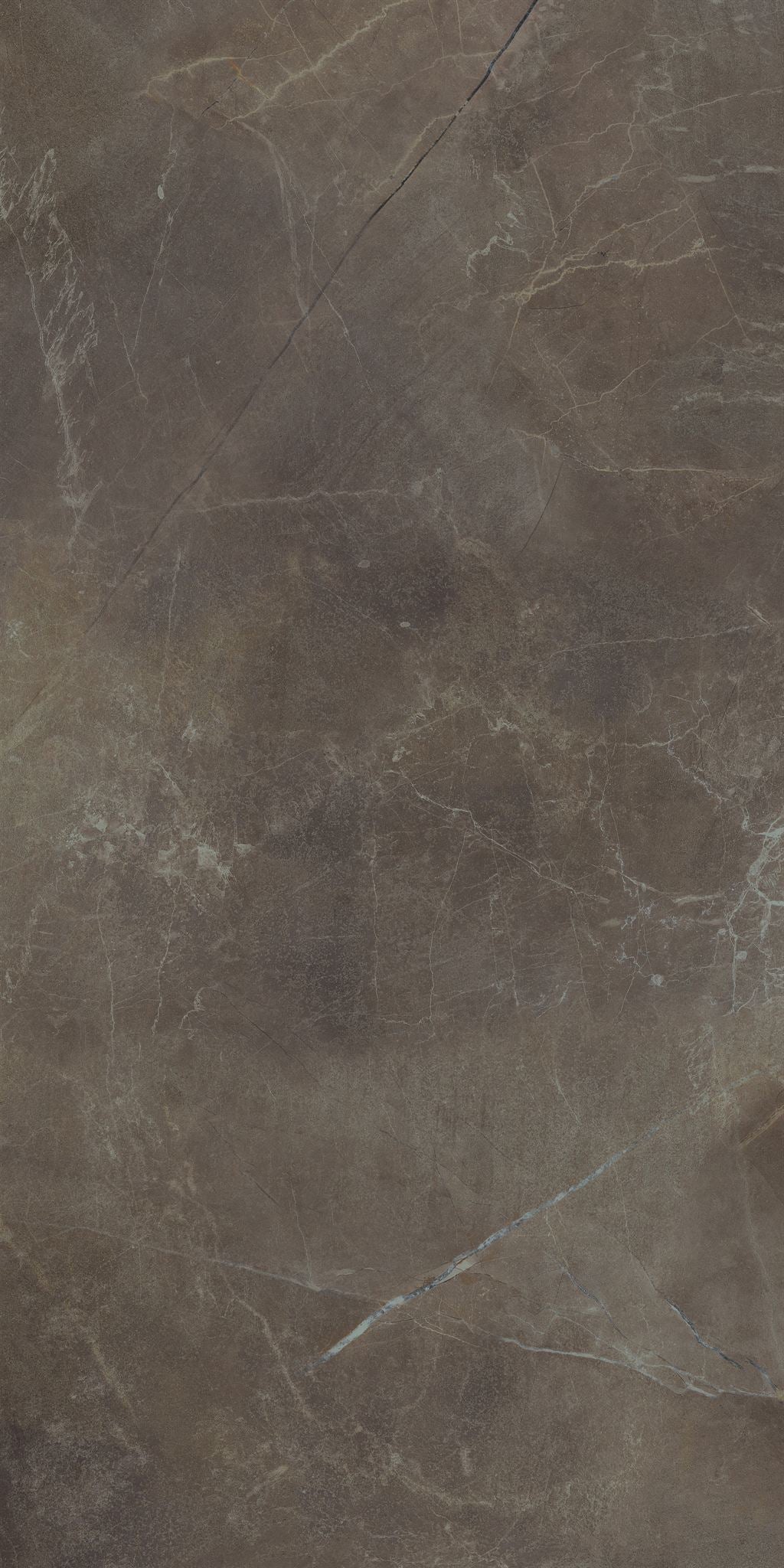 PŁYTKA CERAMICZNA MH/LUX511BRP8 59.7 X 119.7 CM OD MAXHOME