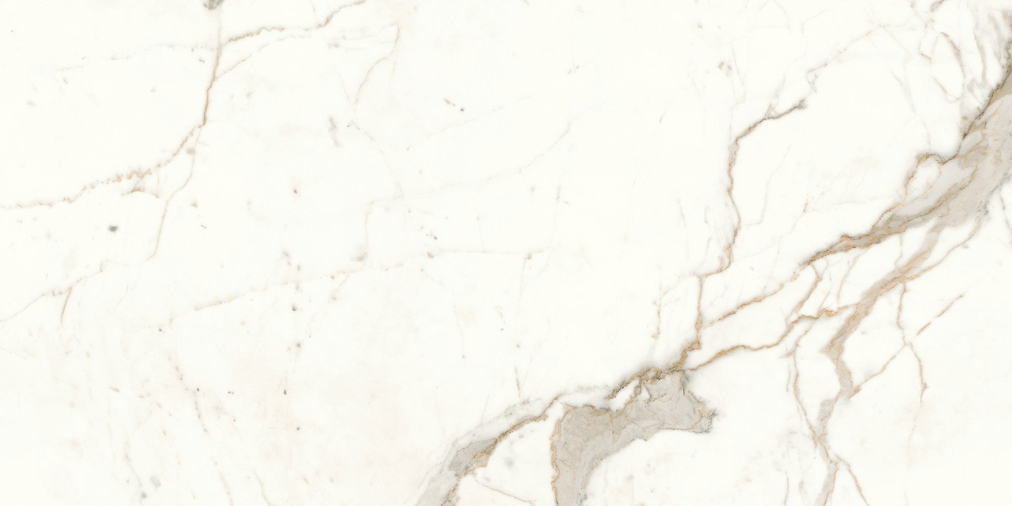 PŁYTKA CERAMICZNA  120 X 60 CM OD ATLAS CONCORDE