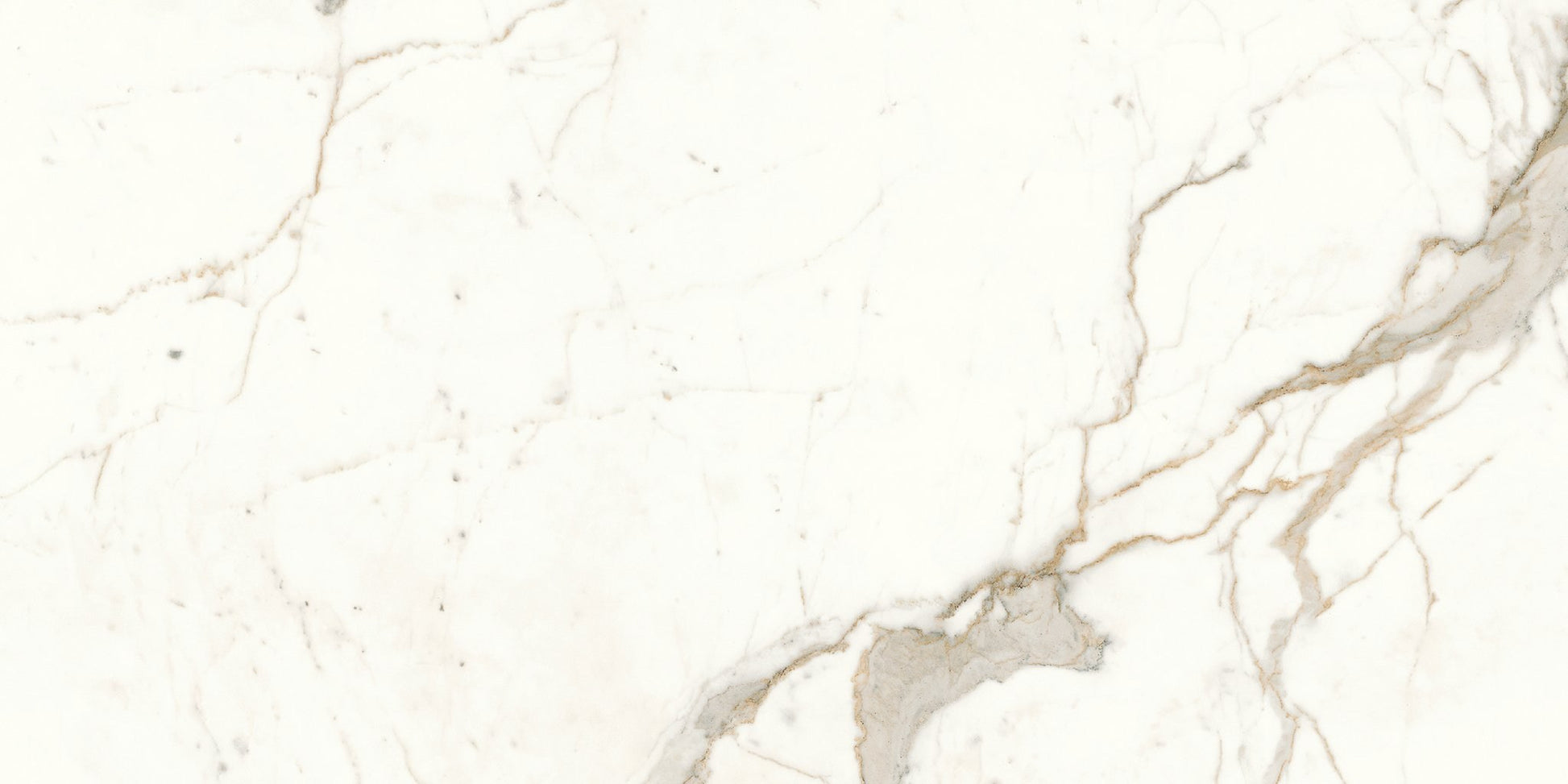 PŁYTKA CERAMICZNA  120 X 60 CM OD ATLAS CONCORDE