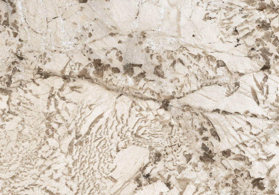 PŁYTKA CERAMICZNA FL/NM612GLC6 60 X 120 CM OD FLORIM