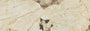 PŁYTKA CERAMICZNA AT/MG612DESOL 60 X 120 CM OD ATLAS CONCORDE