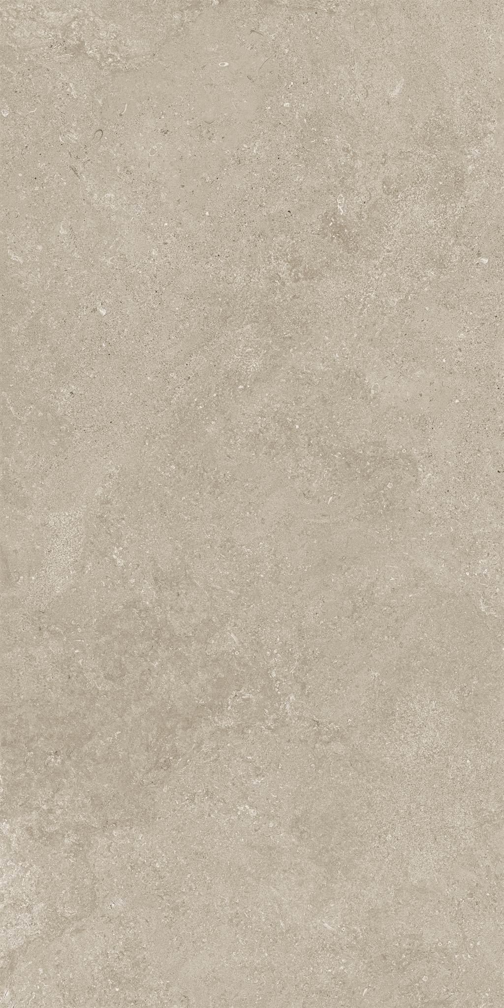 PŁYTKA CERAMICZNA MH/ST611SV02SP 60 x 119.7 CM OD MAXHOME