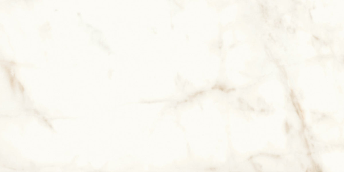 PŁYTKA CERAMICZNA  120 X 60 CM OD ATLAS CONCORDE