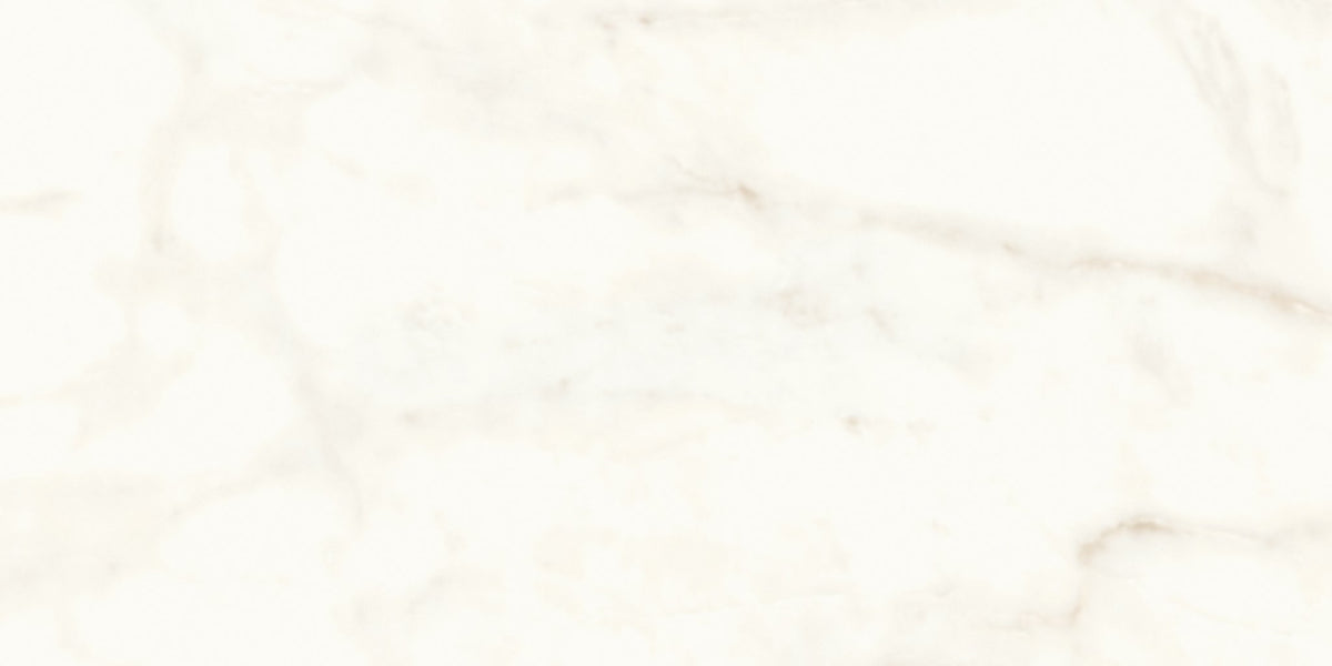 PŁYTKA CERAMICZNA  120 X 60 CM OD ATLAS CONCORDE