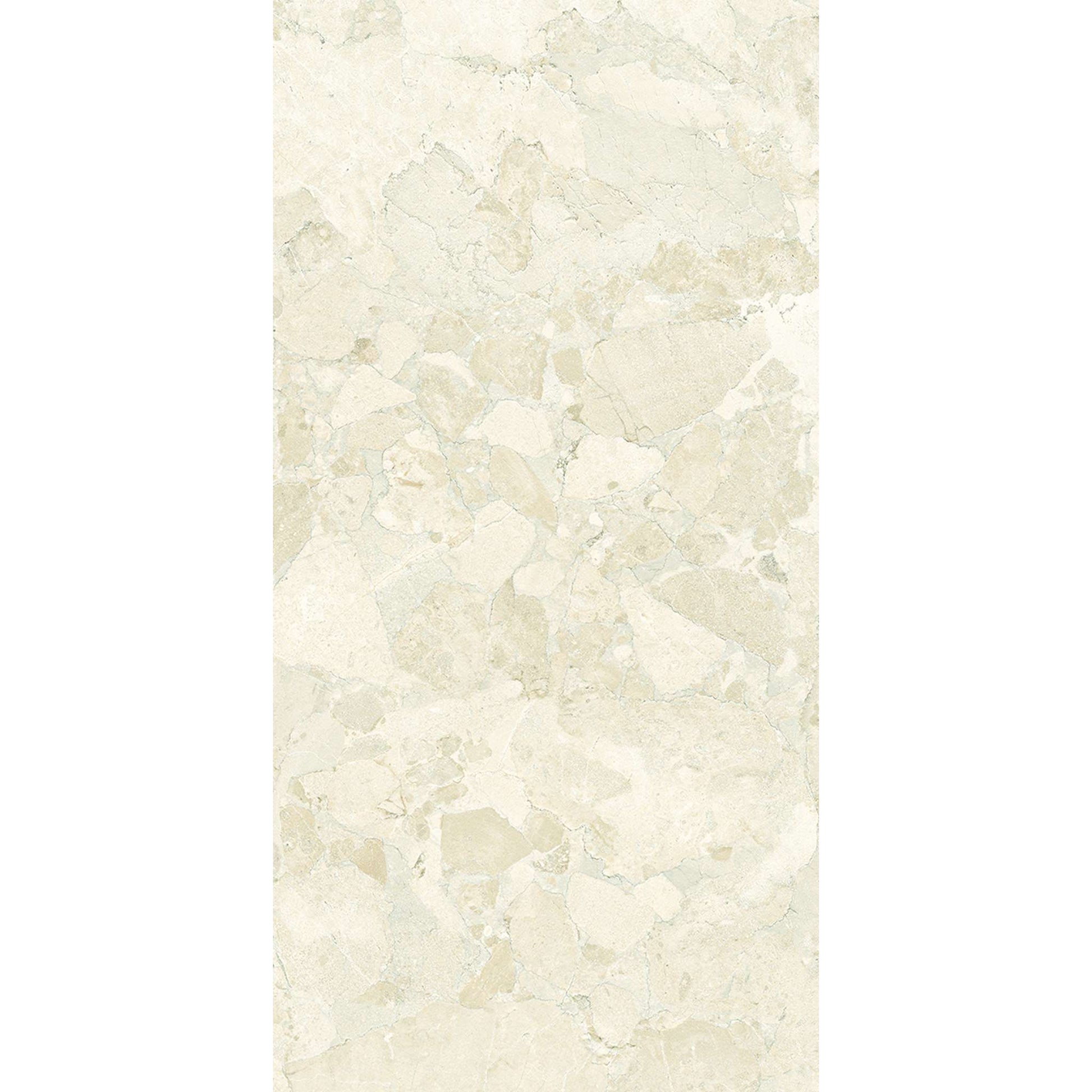 PŁYTKA CERAMICZNA SASSI WHITE SILKTECH 60 X 120 CM OD ERGON