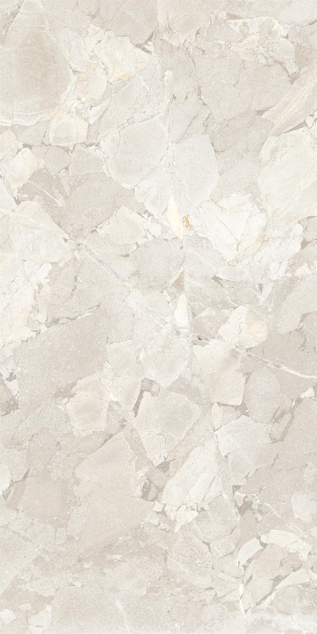 PŁYTKA CERAMICZNA  60 X 120 CM OD COEM