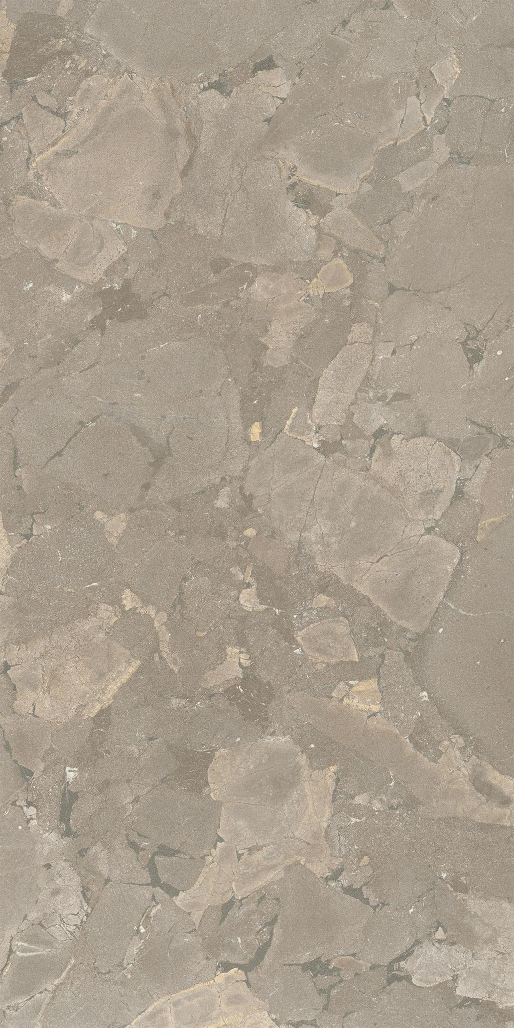PŁYTKA CERAMICZNA  60 X 120 CM OD COEM
