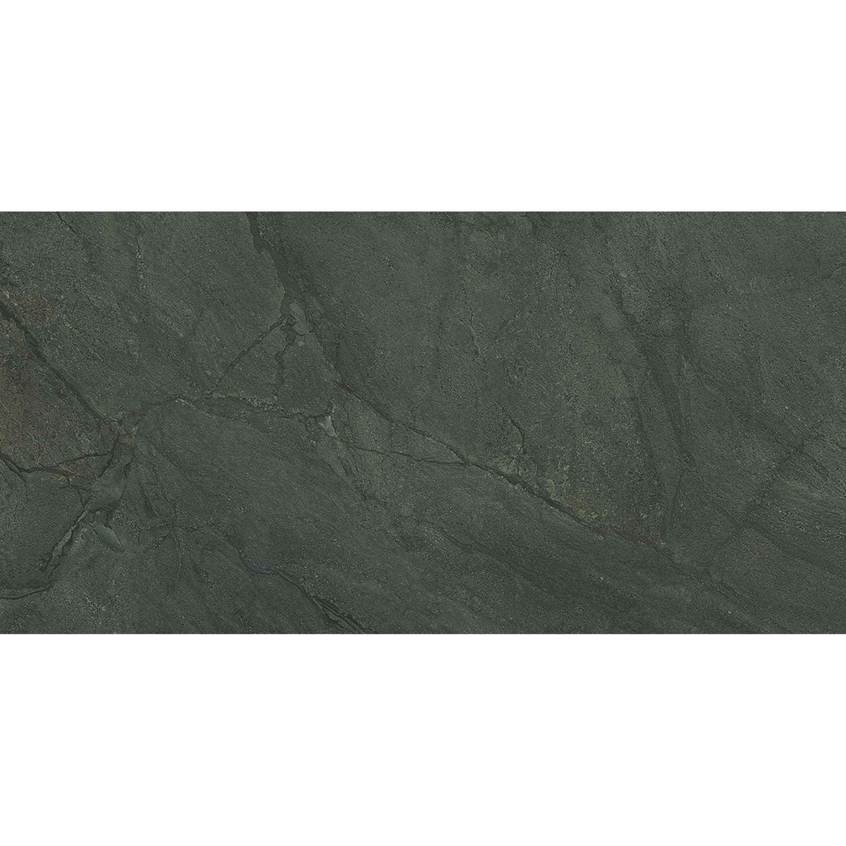 PŁYTKA CERAMICZNA PR/PO612GB 120 X 60 CM OD EMIL CERAMICA
