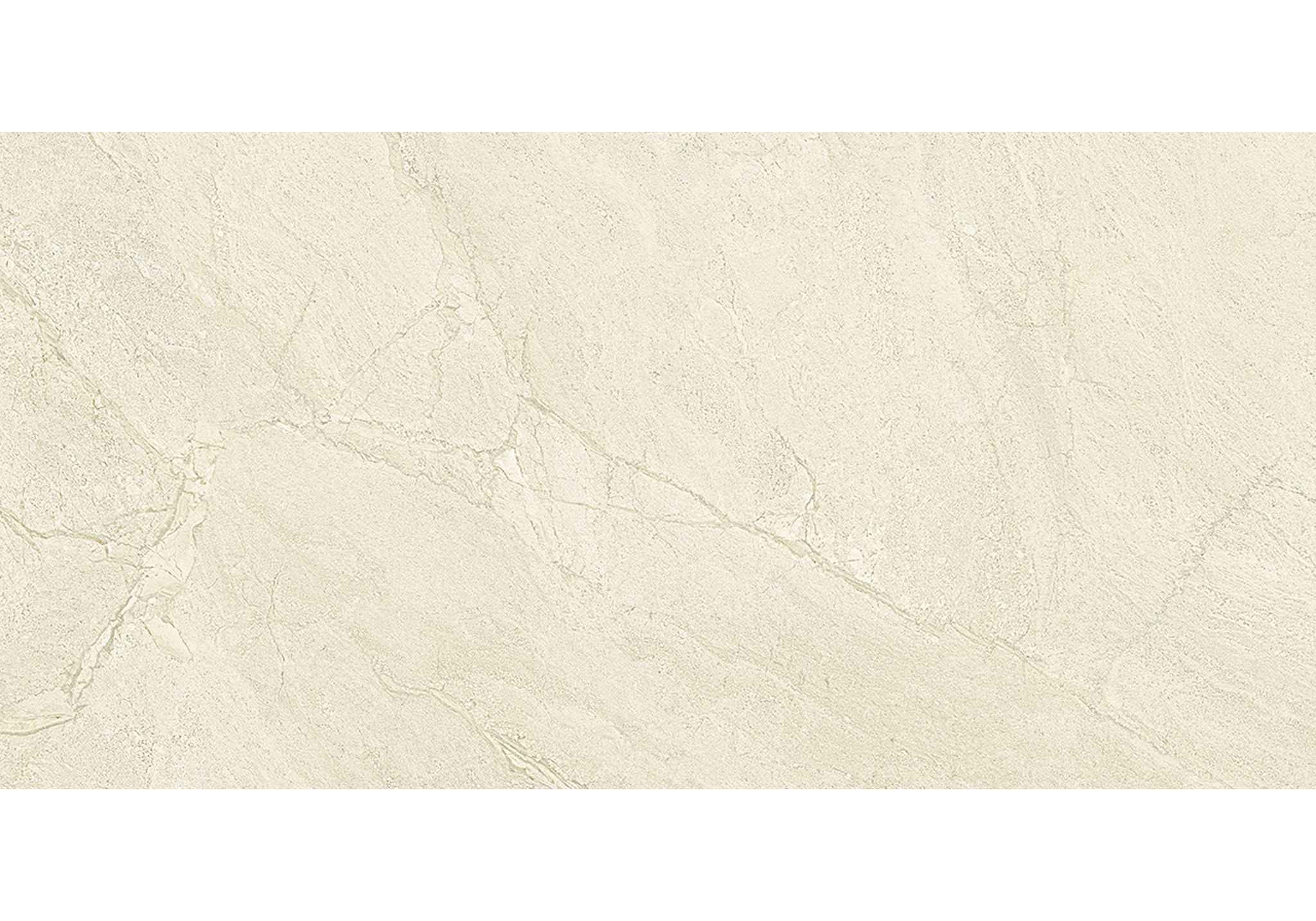 PŁYTKA CERAMICZNA PR/PO612P 120 X 60 CM OD EMIL CERAMICA